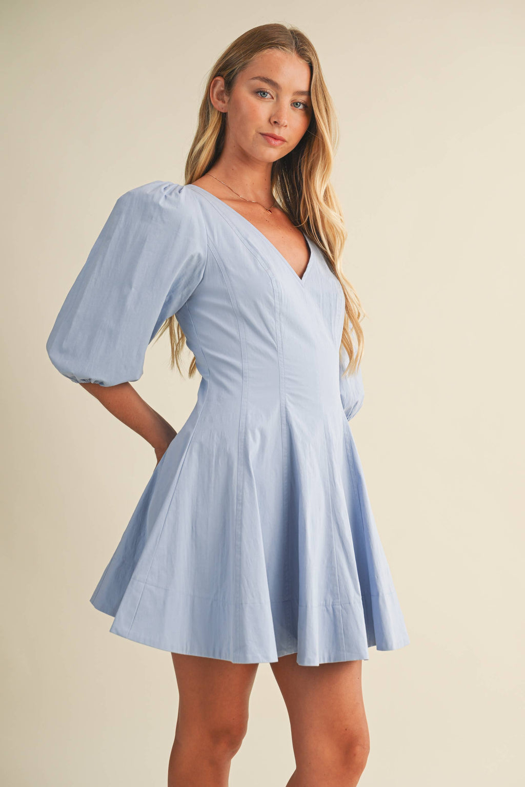 Sculpted Bodice Dress