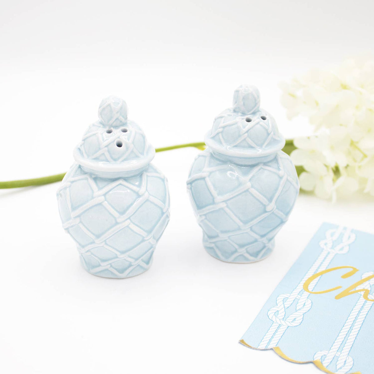 8 OAK LANE Light Blue Textured Jar Salt & Pepper Shaker Boxed Set