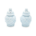 8 OAK LANE Light Blue Textured Jar Salt & Pepper Shaker Boxed Set