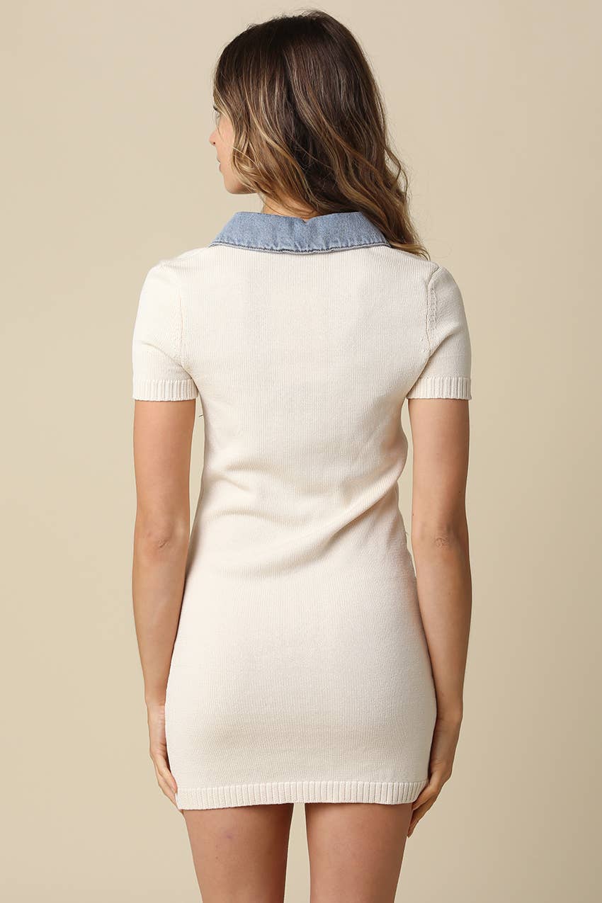 Bianca Collared Mini Dress